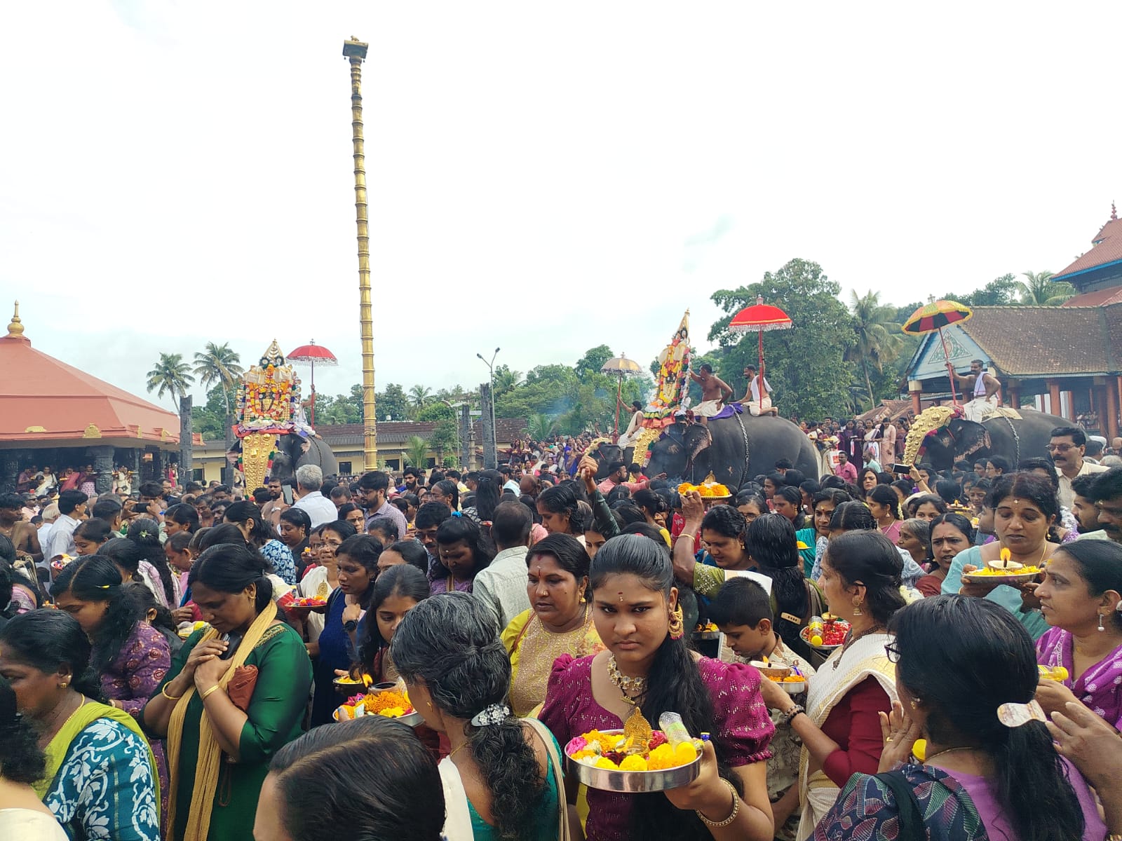 ചെങ്ങന്നൂർ ദേവിയുടെ തൃപ്പൂത്ത് ആറാട്ട്